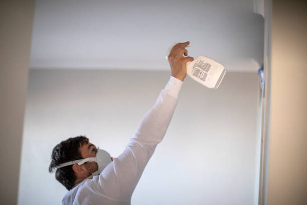 Best Certified Mold Removal  in Beltsville, MD